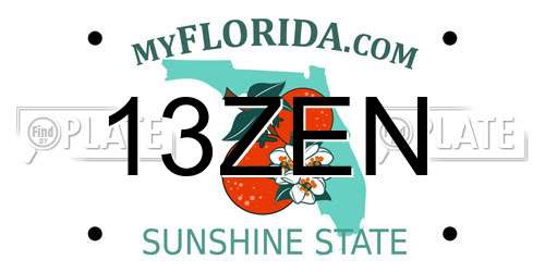13ZEN Florida License Plate