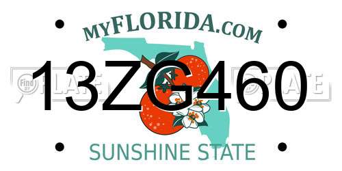 13ZG460 Florida License Plate