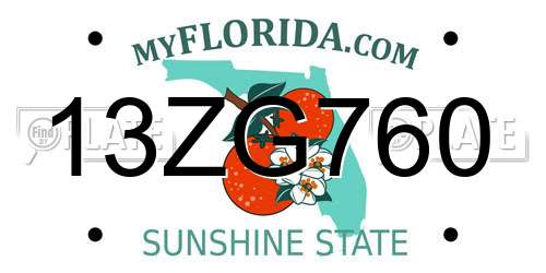13ZG760 Florida License Plate