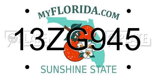 13ZG945 Florida License Plate