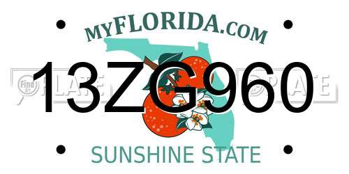 13ZG960 Florida License Plate