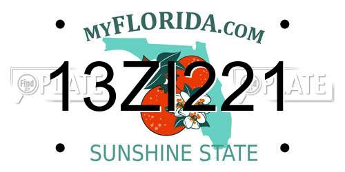 13ZI221 Florida License Plate
