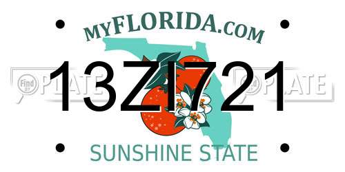 13ZI721 Florida License Plate
