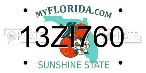 13ZI760 Florida License Plate