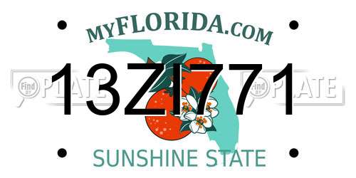 13ZI771 Florida License Plate