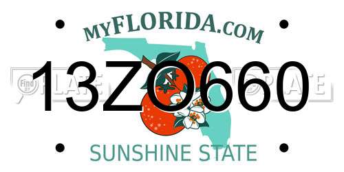 13ZO660 Florida License Plate