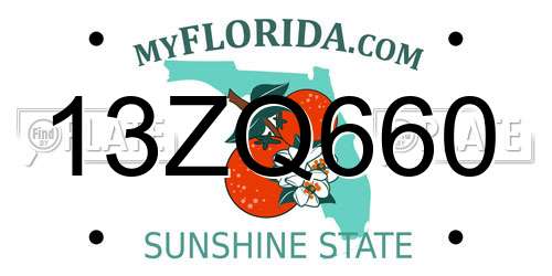 13ZQ660 Florida License Plate