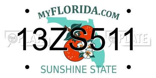 13ZS511 Florida License Plate