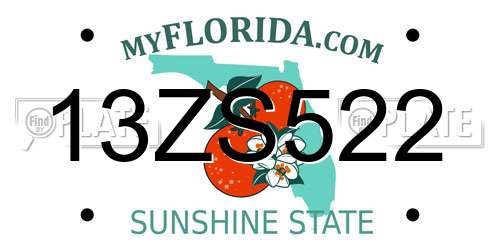 13ZS522 Florida License Plate