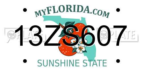 13ZS607 Florida License Plate