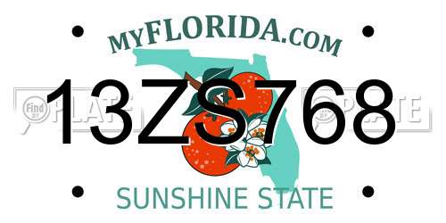13ZS768 Florida License Plate