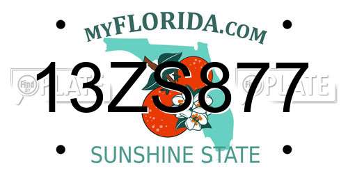 13ZS877 Florida License Plate