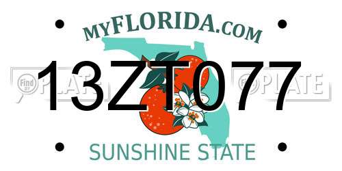 13ZT077 Florida License Plate