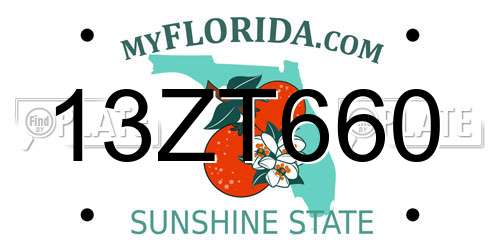 13ZT660 Florida License Plate