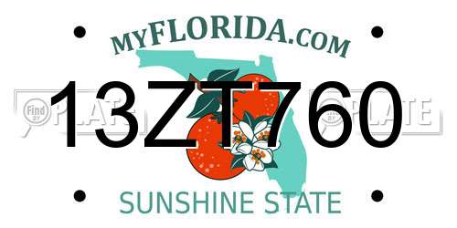 13ZT760 Florida License Plate