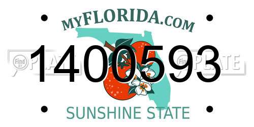 1400593 Florida License Plate