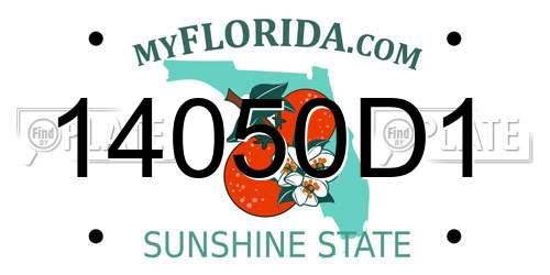 14050D1 Florida License Plate