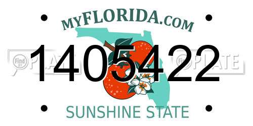 1405422 Florida License Plate