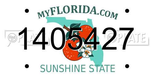 1405427 Florida License Plate