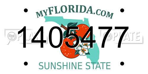 1405477 Florida License Plate