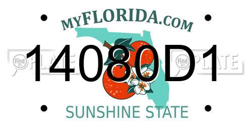 14080D1 Florida License Plate