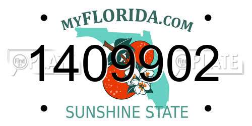 1409902 Florida License Plate