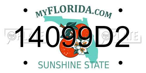 14099D2 Florida License Plate