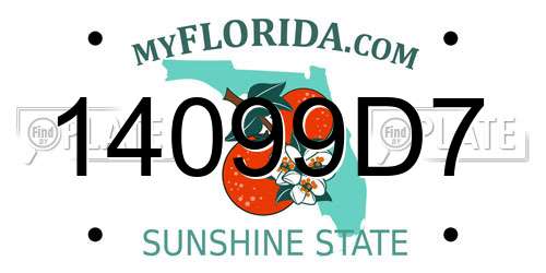 14099D7 Florida License Plate