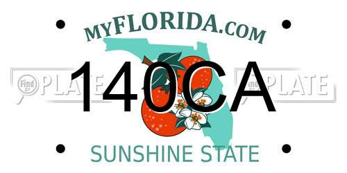 140CA Florida License Plate