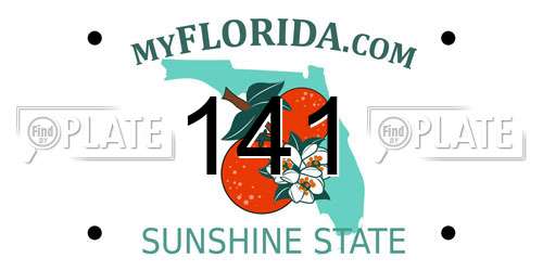 141 Florida License Plate