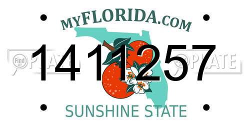1411257 Florida License Plate
