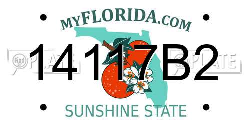 14117B2 Florida License Plate