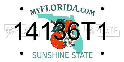 14136T1 Florida License Plate