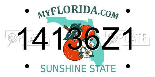 14136Z1 Florida License Plate