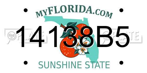 14138B5 Florida License Plate