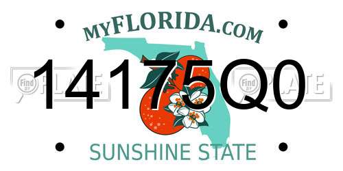 14175Q0 Florida License Plate