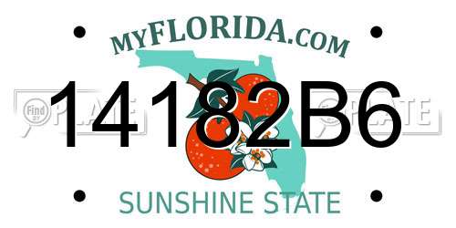 14182B6 Florida License Plate