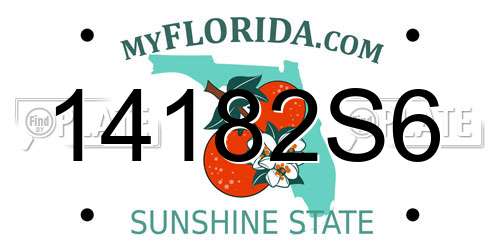 14182S6 Florida License Plate