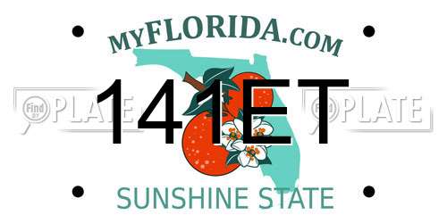 141ET Florida License Plate