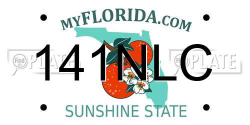 141NLC Florida License Plate