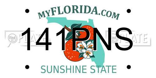 141PNS Florida License Plate