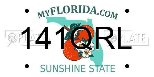 141QRL Florida License Plate