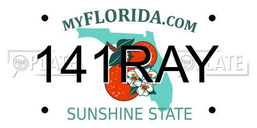 141RAY Florida License Plate