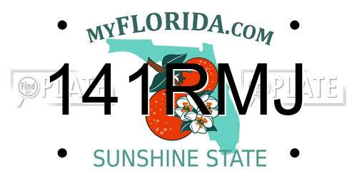 141RMJ Florida License Plate