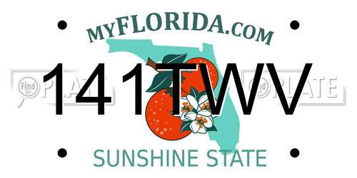 141TWV Florida License Plate
