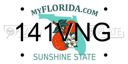 141VNG Florida License Plate