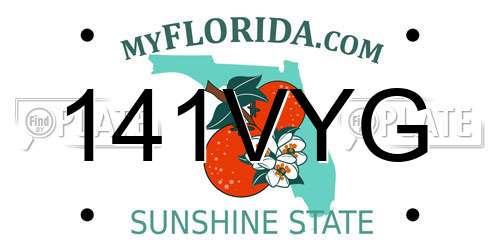 141VYG Florida License Plate