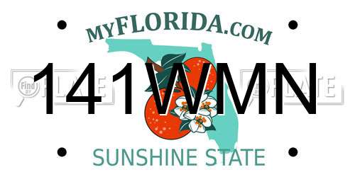 141WMN Florida License Plate