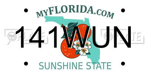 141WUN Florida License Plate