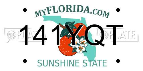 141YQT Florida License Plate